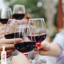 El Clavel de Lola Pack 6